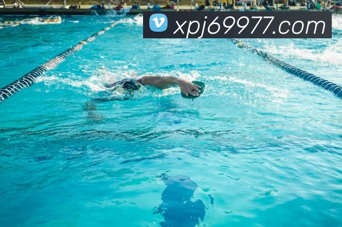 新葡京娱乐品牌故事