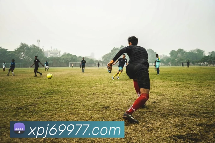 新葡京娱乐服务体系